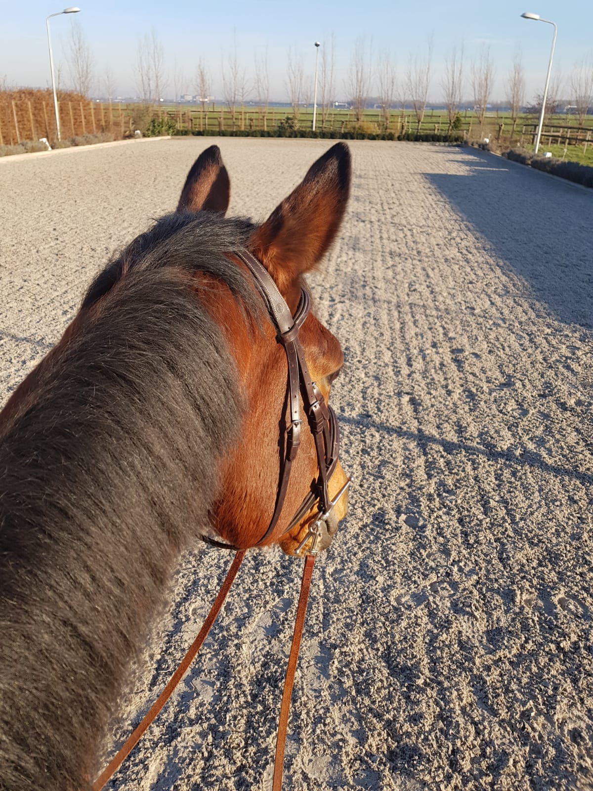 WhatsApp Image 2019-08-22 at 11.53.50