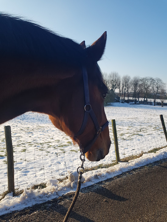 Carlito winterwandeling